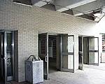 Picture of CTA Loyola Rail Station