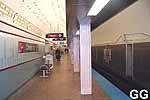 Picture of CTA Chicago and State rail station platform