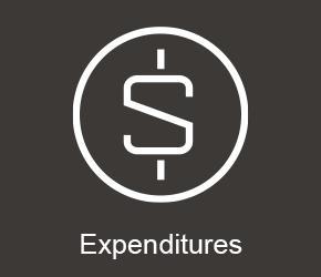 Icon of a dollar sign wearing a helmet to reference expenditures